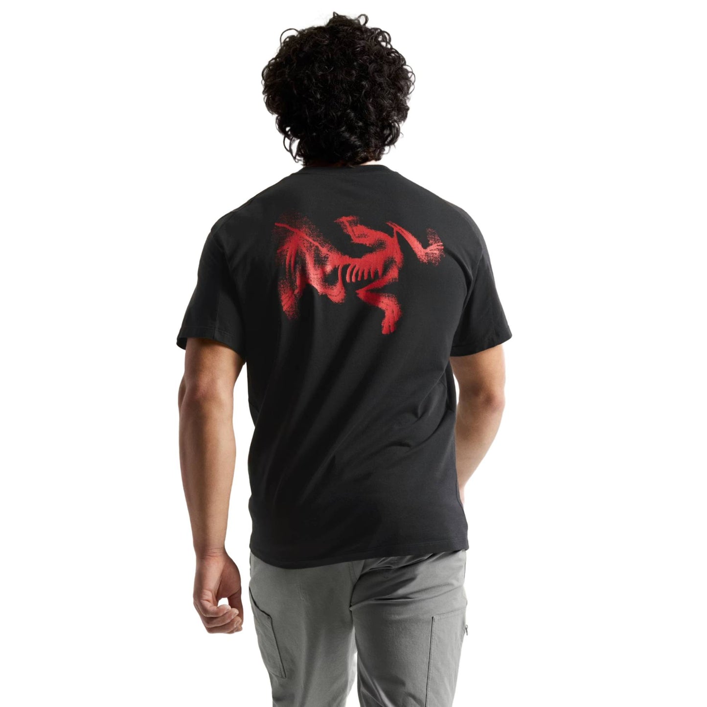 Arc'teryx Kragg SL Cotton Blurred Bird Mens SS Shirt 2026