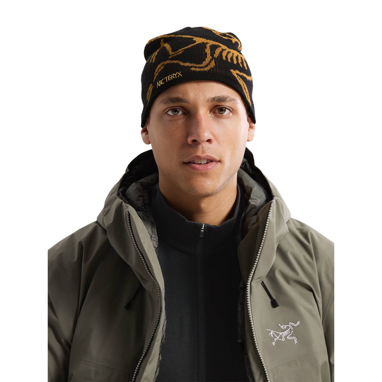 Arc'teryx Bird Head Adult Toque - Skiis & Biikes