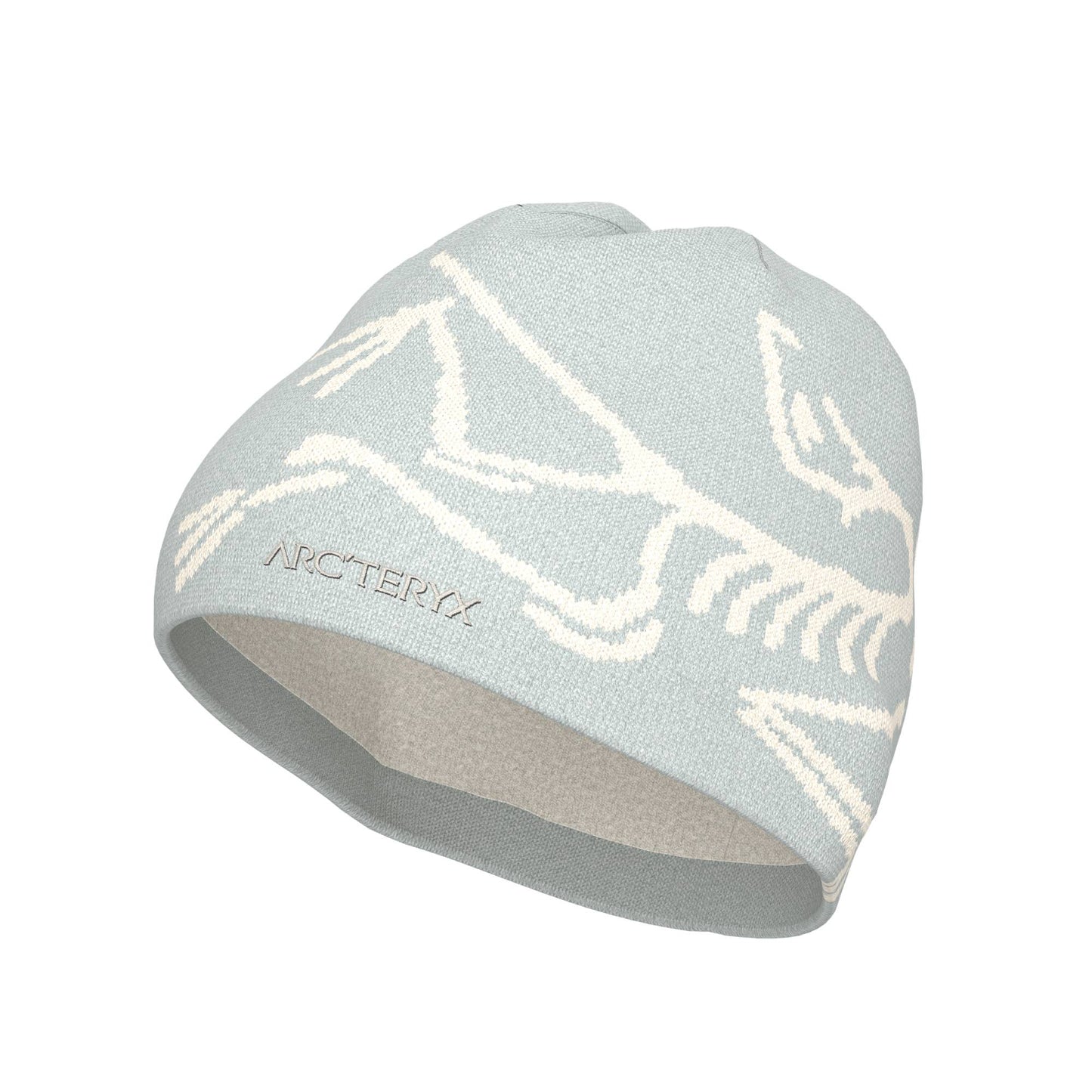 Arc'teryx Bird Head Adult Toque - Skiis & Biikes