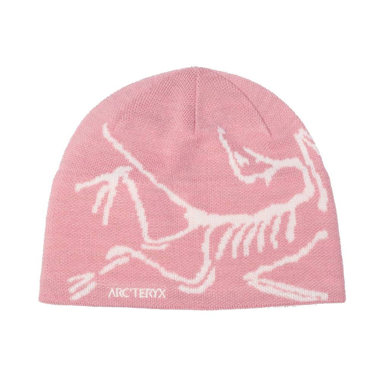 Arc'teryx Bird Head Adult Toque - Skiis & Biikes