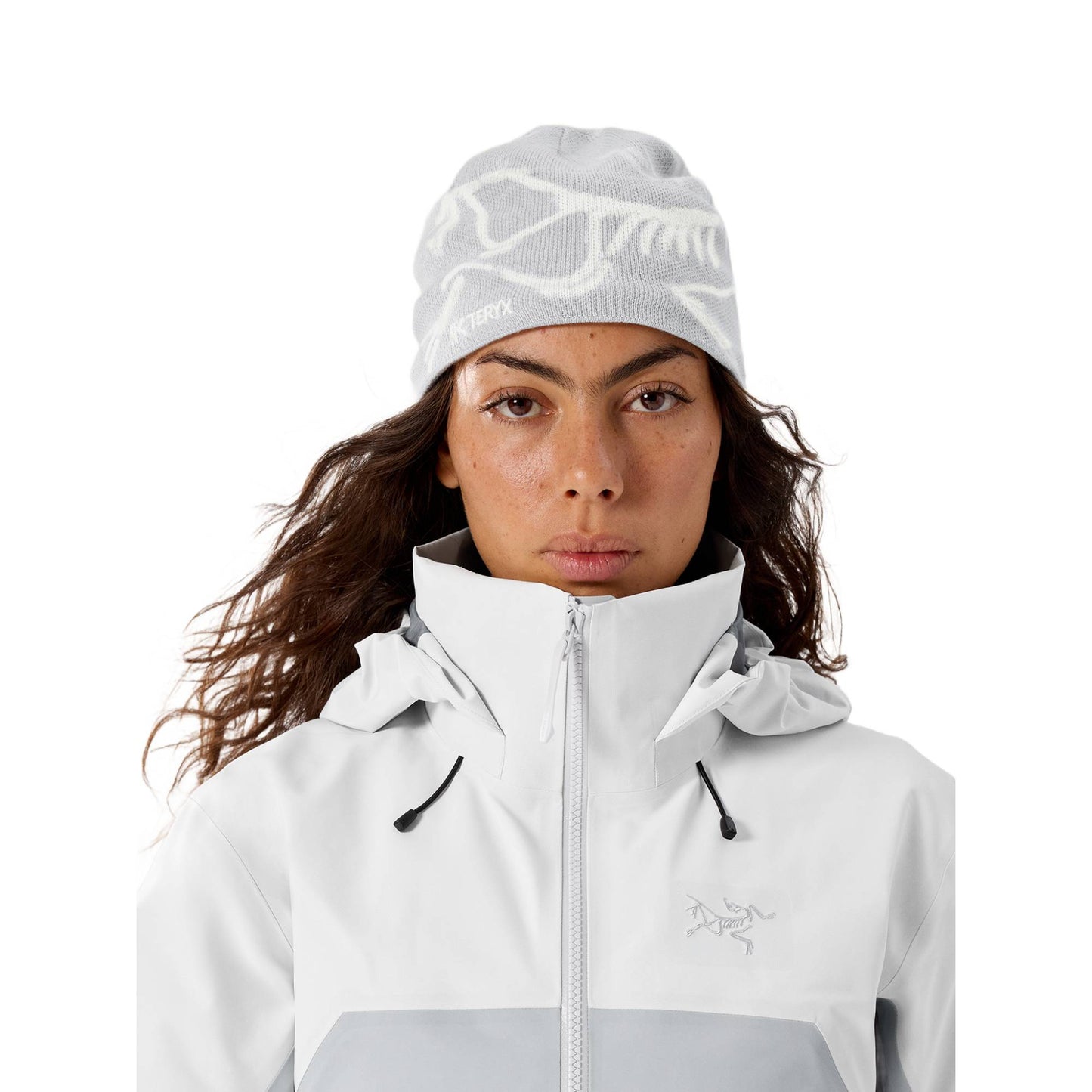 Arc'teryx Bird Head Adult Toque - Skiis & Biikes