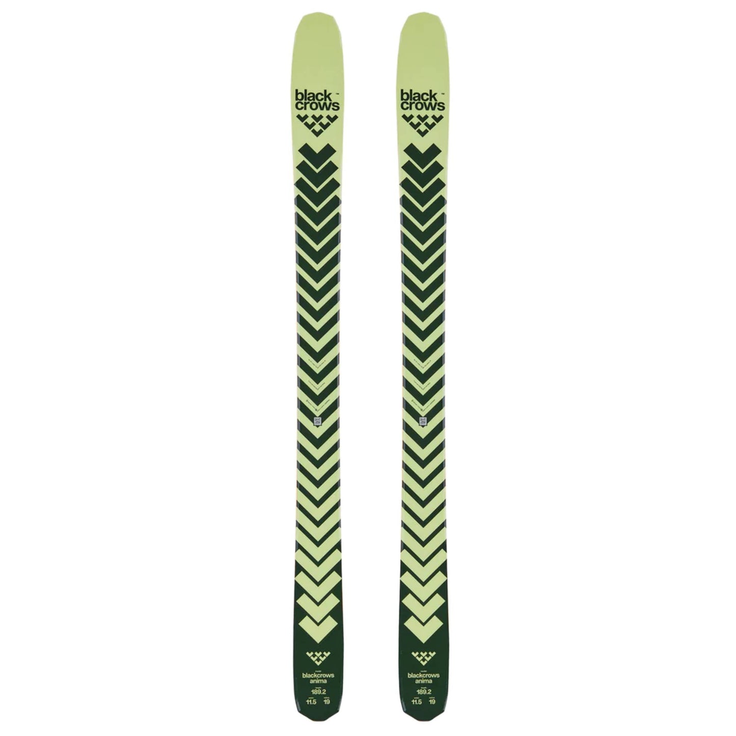 Black Crows Anima Ski 2026 - Skiis & Biikes