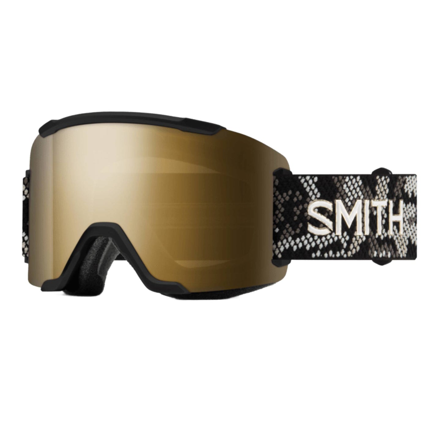 Smith Squad Goggles 2027