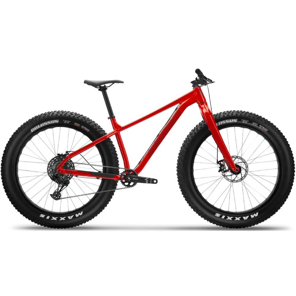Devinci Minus SX 12s Bike - Skiis & Biikes