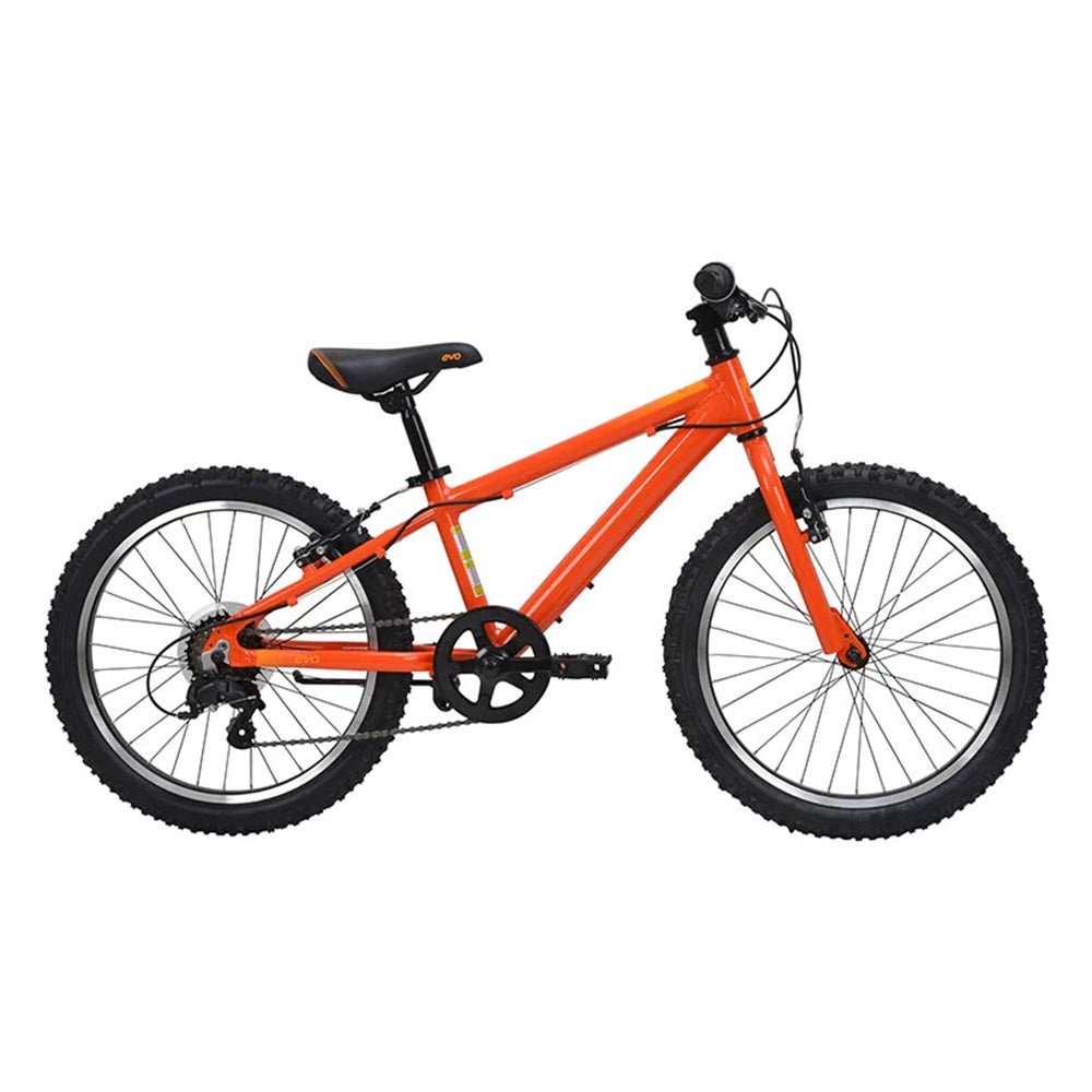 Evo Rock Ridge 7 Speed - Skiis & Biikes