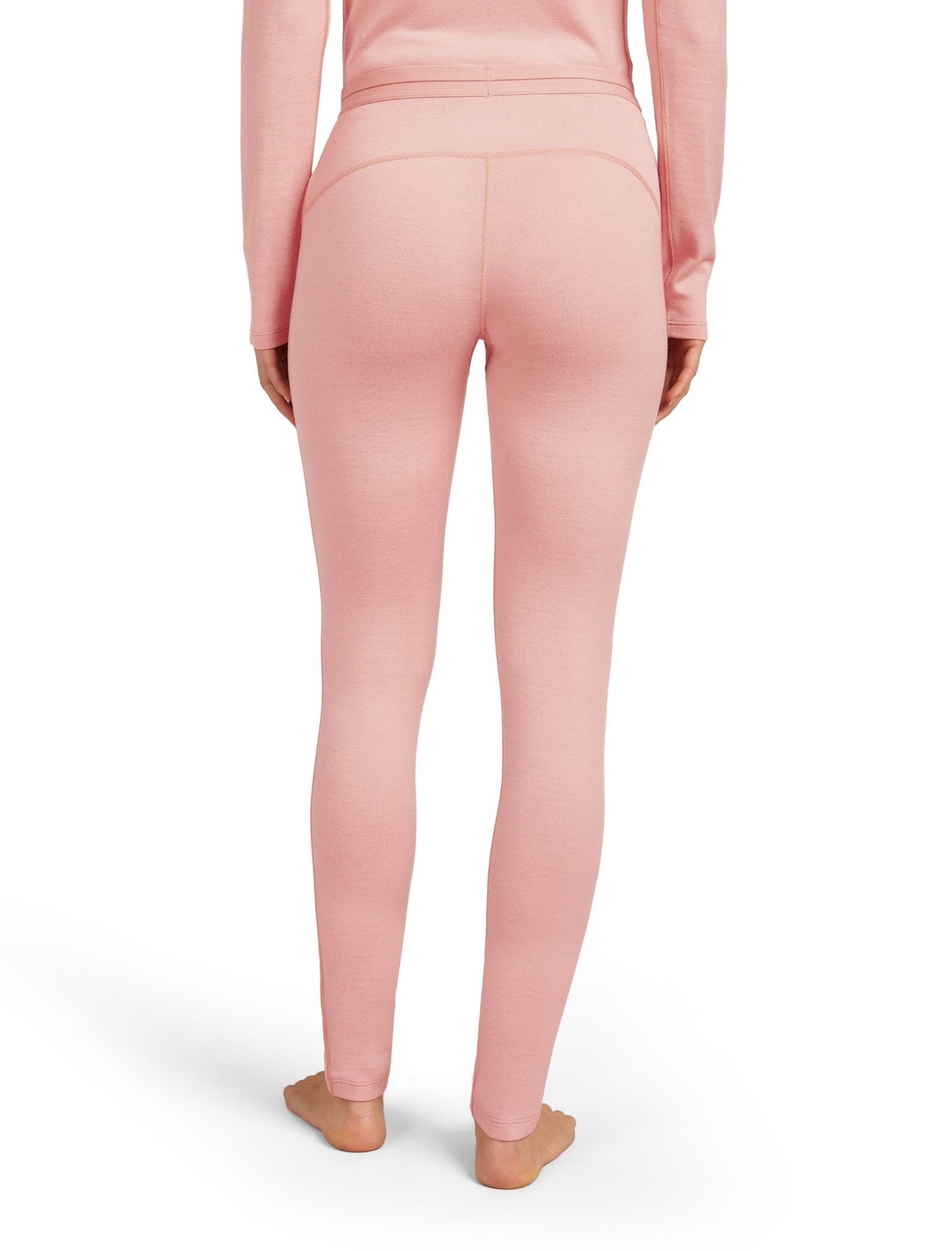 Icebreaker 260 Tech Womens Leggings - Skiis & Biikes