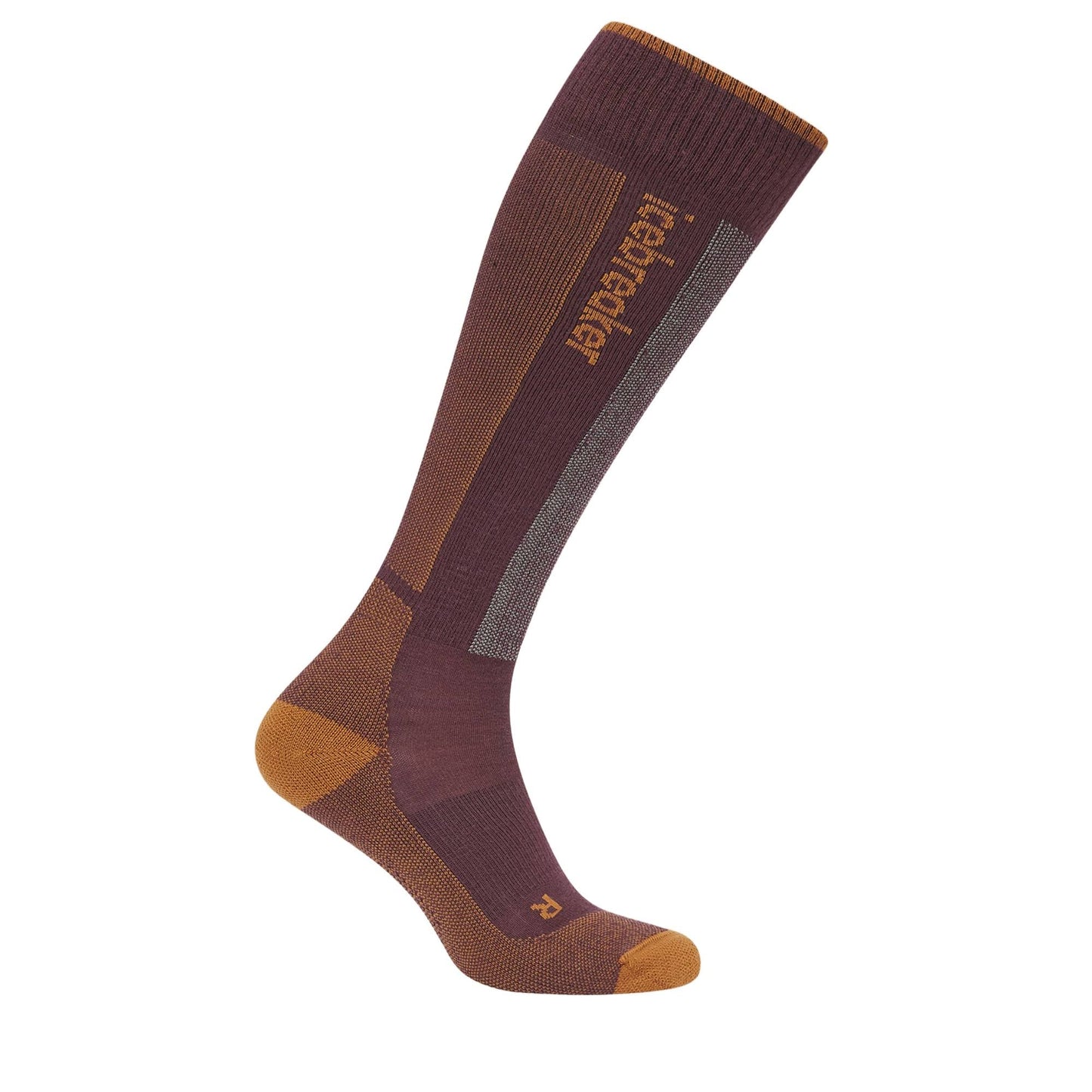 Icebreaker Ski+ Light OTC Mens Sock - Skiis & Biikes