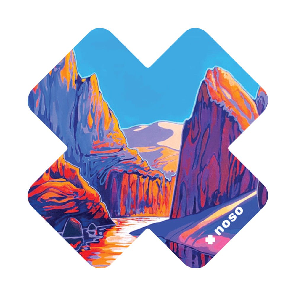 Noso Chritsina Mckeown Patch Kit - Skiis & Biikes