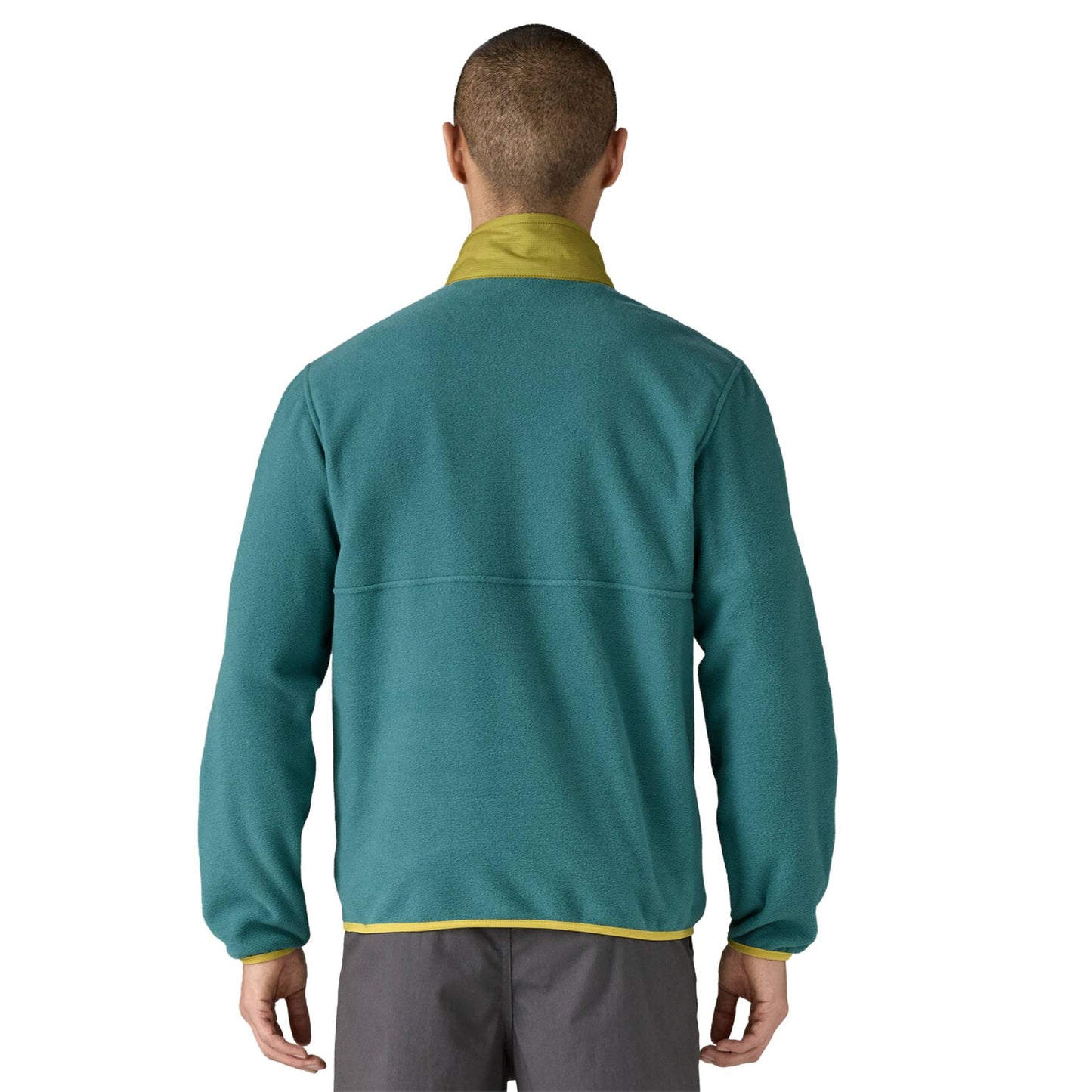 Patagonia Microdini Half Zip Mens Pull Over - Skiis & Biikes