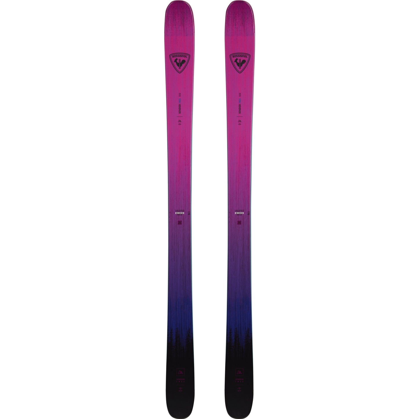 Rossignol Sender Free 100 Ski 2026 - Skiis & Biikes