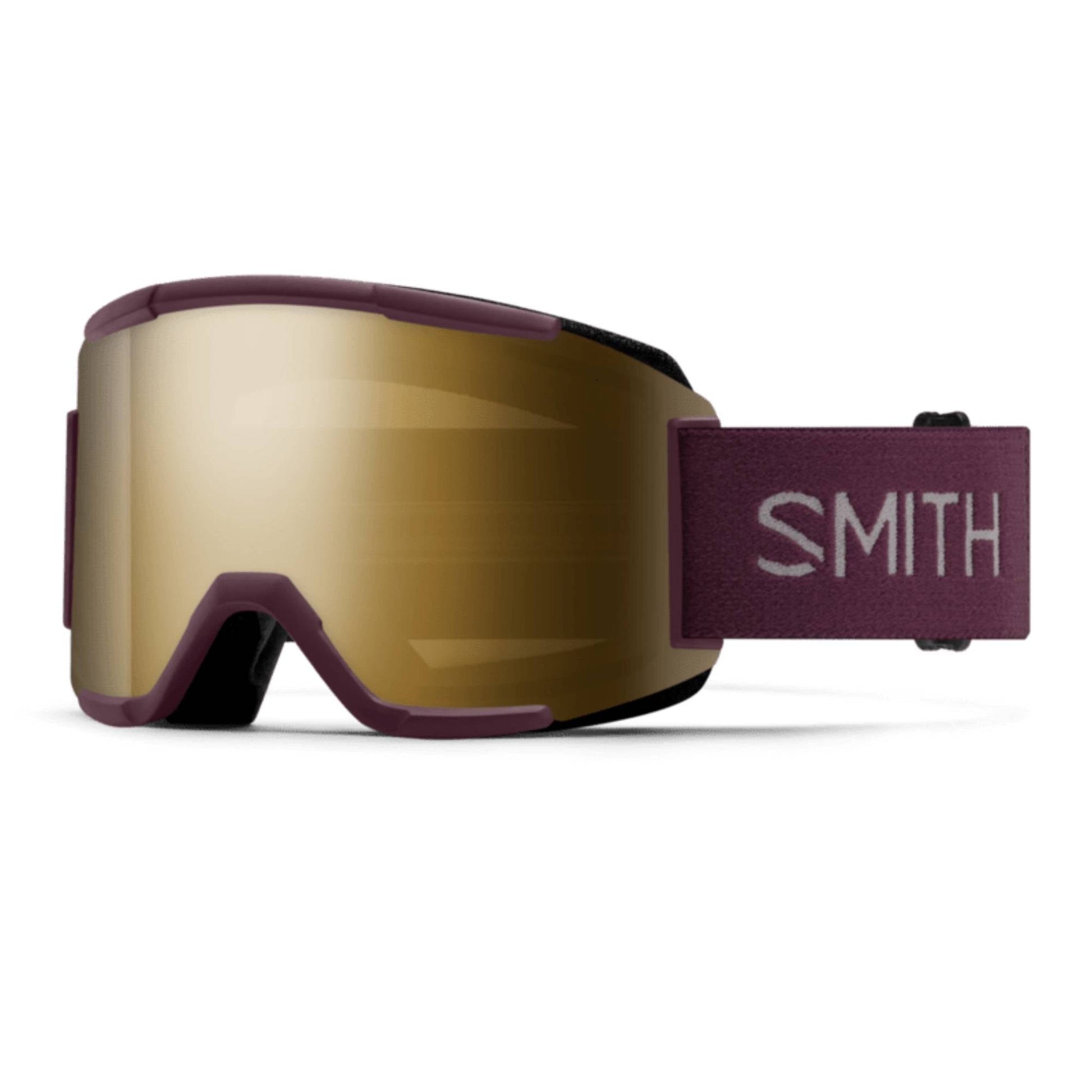 Smith Squad Goggles 2026 - Skiis & Biikes