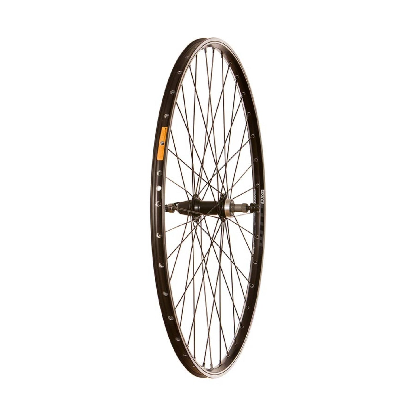 Wheel Shop WTB DX18 Rear Wheel - Skiis & Biikes