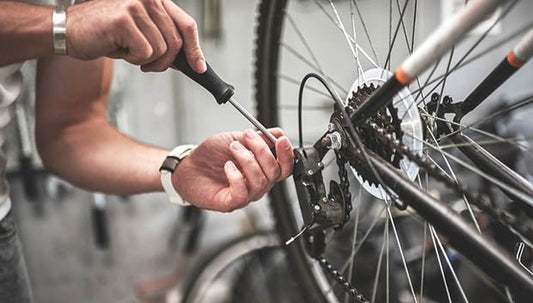 Bike Components 101 - Skiis & Biikes