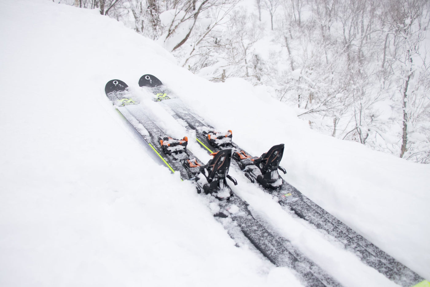 Maple Syrup and Ramen - Skiis & Biikes