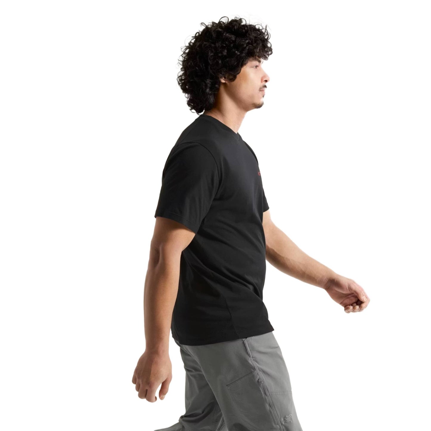 Arc'teryx Kragg SL Cotton Blurred Bird Mens SS Shirt 2026