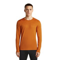 Icebreaker 200 Oasis Mens LS Crewe
