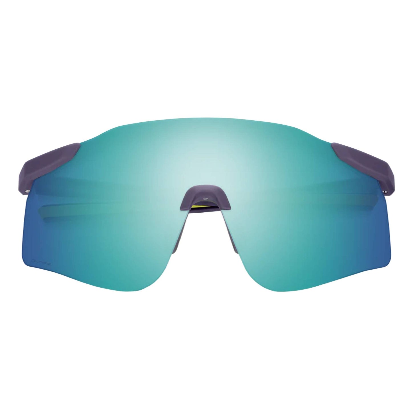 Smith Defy Sunglasses