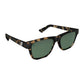 Blenders Tate Sunglasses
