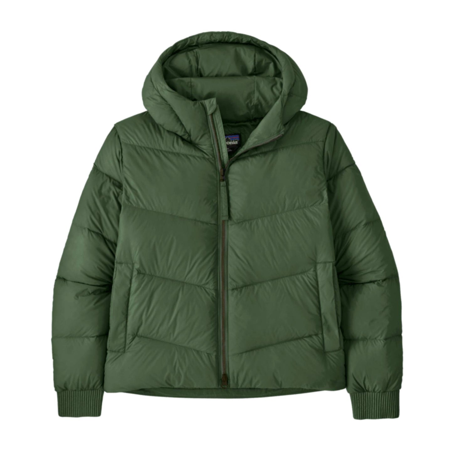 Patagonia Sindit Womens Hoody Jacket 2027