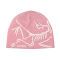 Arc'teryx Bird Head Adult Toque - Skiis & Biikes