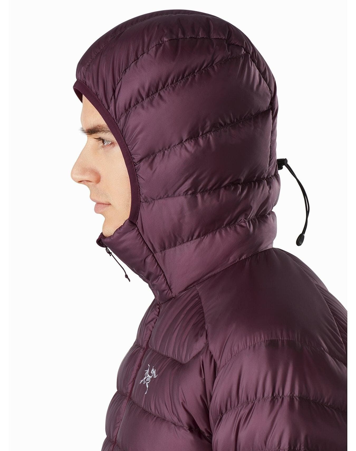 Arcteryx mens cerium lt pregnant hoody