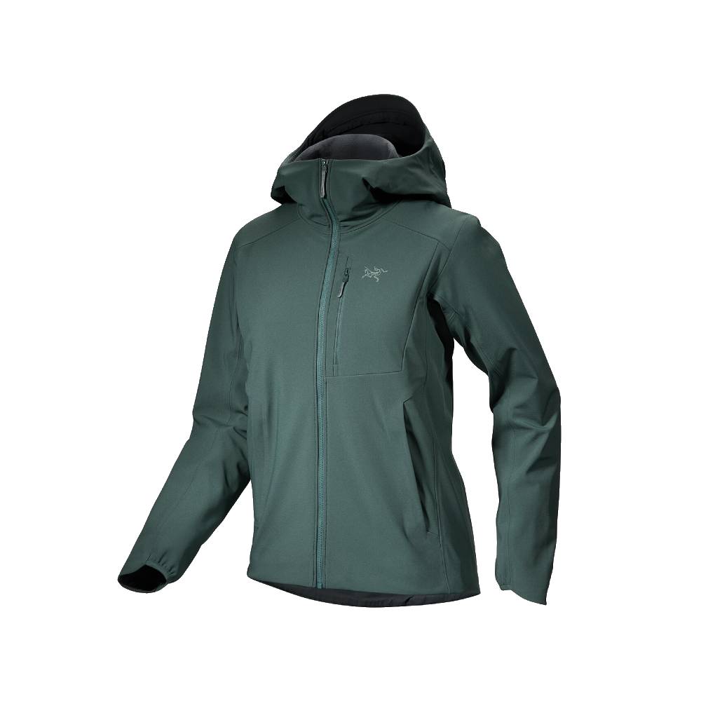 Arc'teryx Gamma Heavyweight Womens Hoody 2024 - Skiis & Biikes