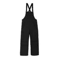 Armada Sumpter Mens 2L Bib Pant 2026 - Skiis & Biikes
