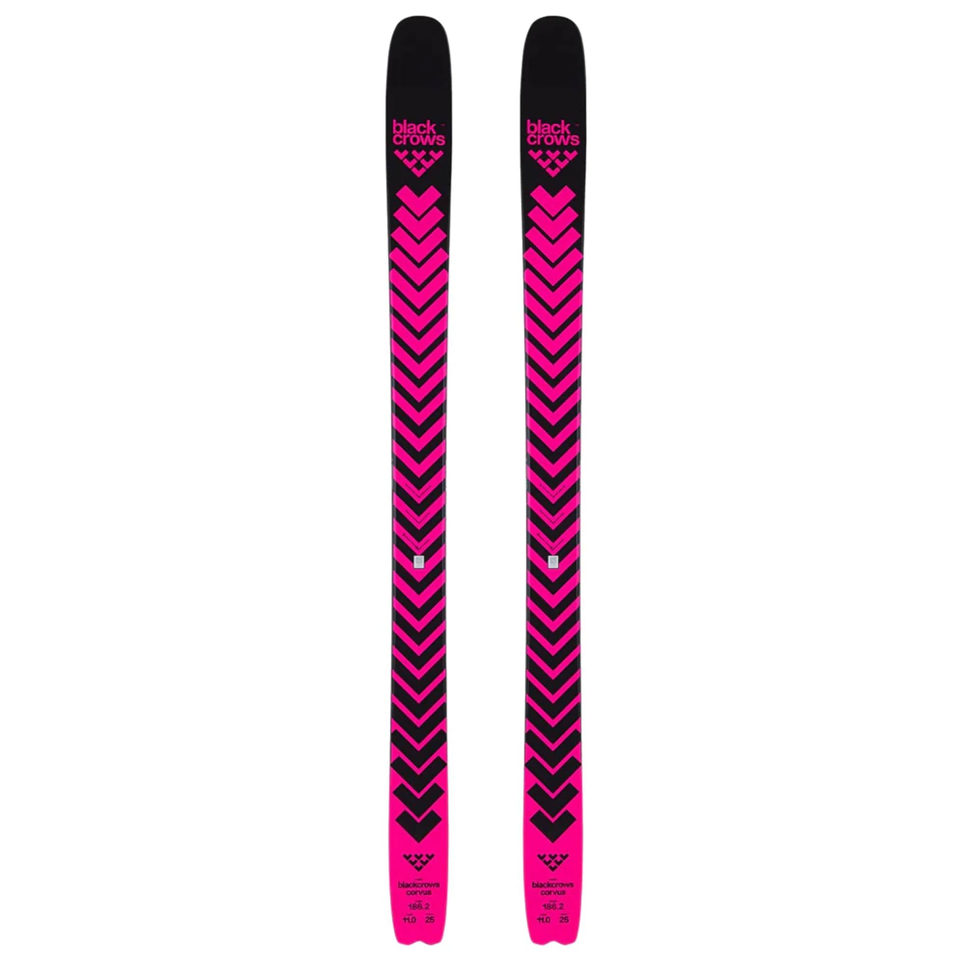 Black Crows Corvus Ski 2026 - Skiis & Biikes