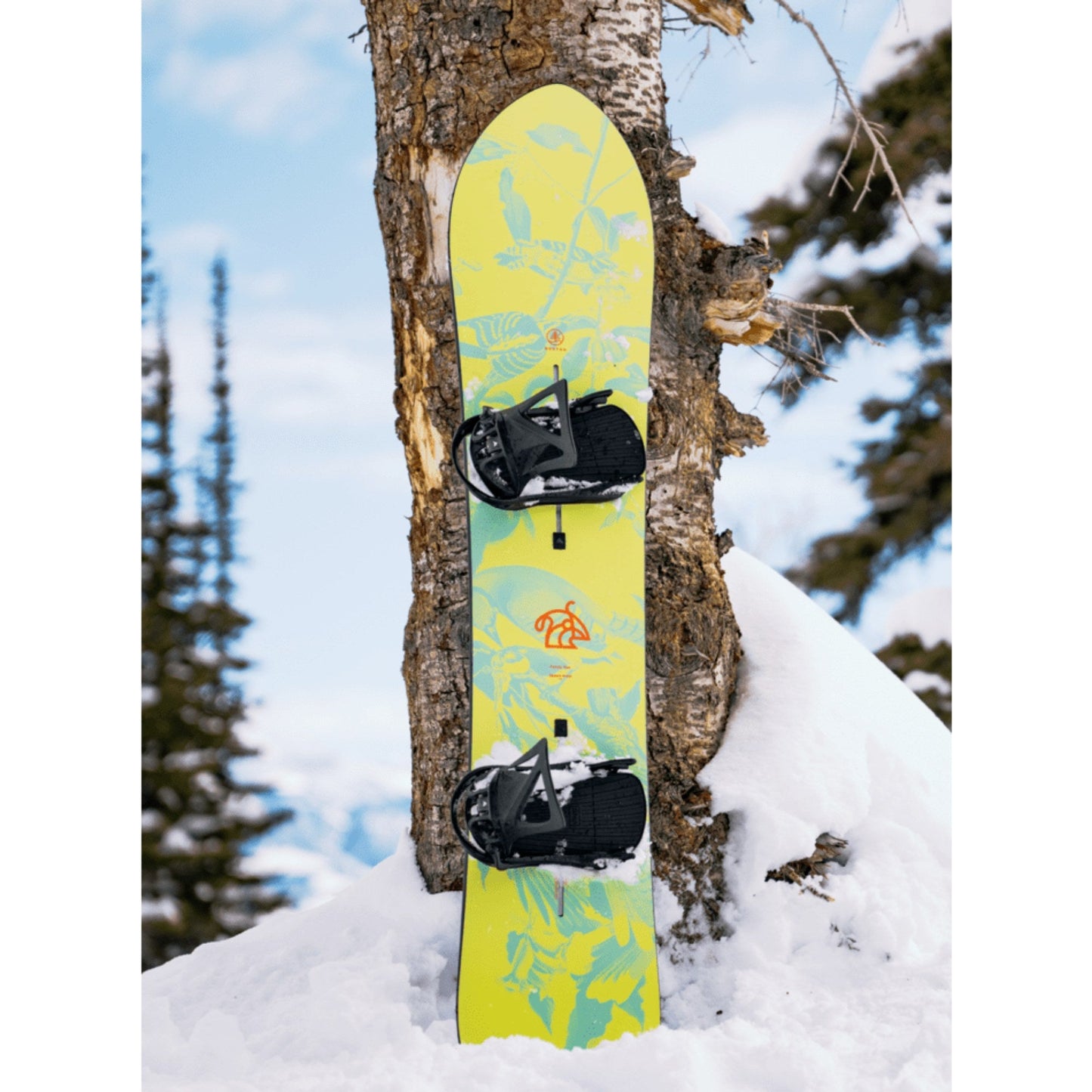 Burton Family Tree Sketch Artist Snowboard 2026 - Skiis & Biikes