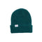 Coal Stanley Adult Beanie - Skiis & Biikes