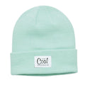 Coal The Mel Womens Beanie - Skiis & Biikes