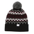 Coal The Winters Adult Pom Beanie - Skiis & Biikes