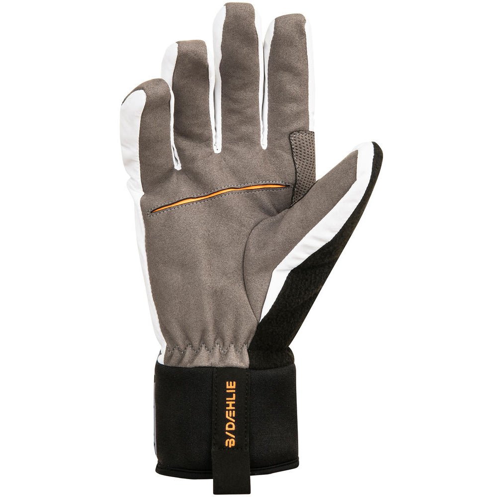 Daehlie Active Glove - Skiis & Biikes