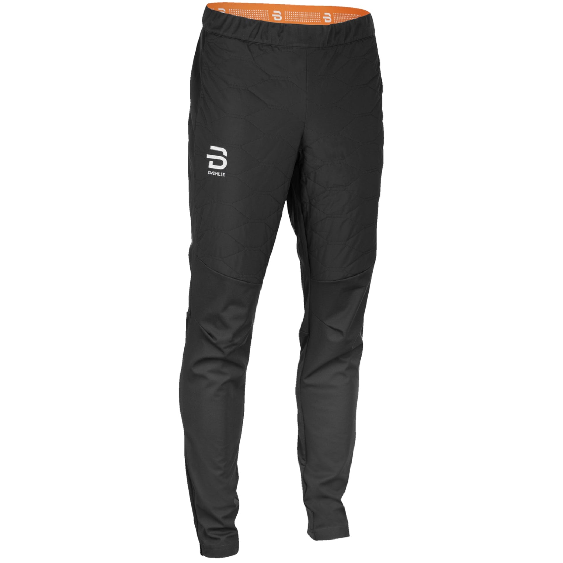 Daehlie Challenge Mens Pant - Skiis & Biikes