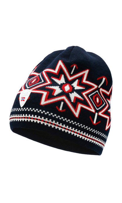 Dale Olympia Adult Hat - Skiis & Biikes