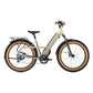 Trek Borrego + Step Through E Bike