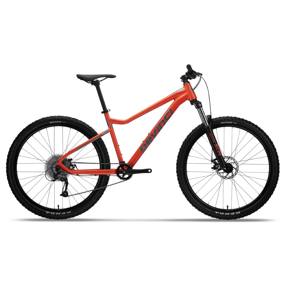 Devinci Blackbird Acera 8s Bike