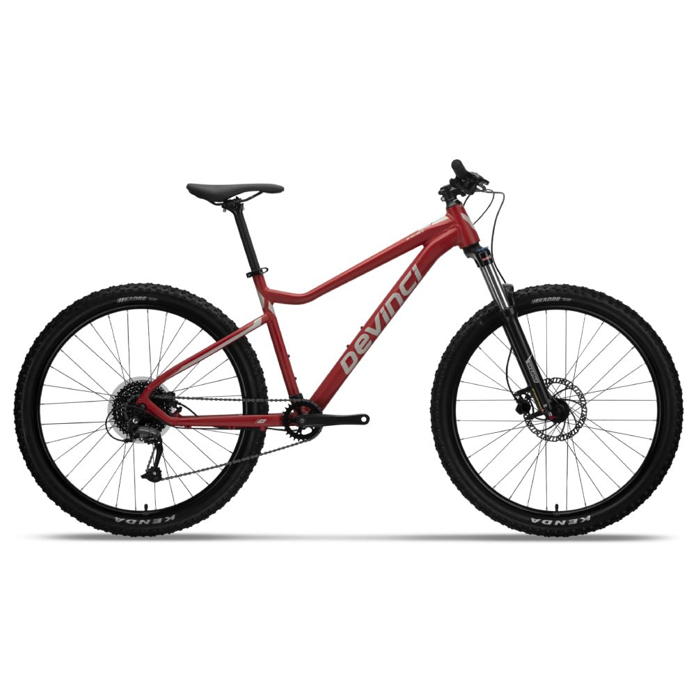 Devinci Blackbird Altus 9s Bike - Skiis & Biikes