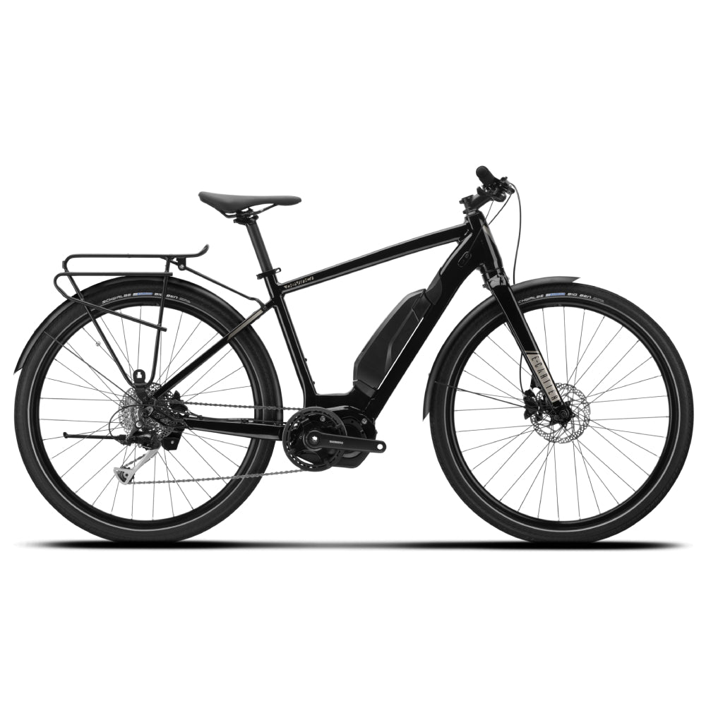 Devinci E Cartier E 6100 9s E Bike - Skiis & Biikes