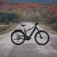 Devinci E - Cartier EP6 9s E Bike - Skiis & Biikes