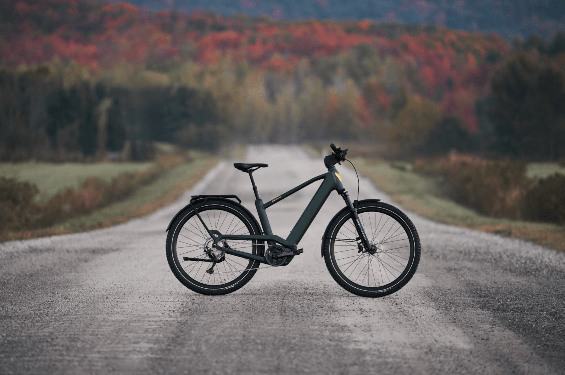 Devinci E - Cartier EP6 9s E Bike - Skiis & Biikes