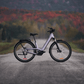 Devinci E - Griffin EP6 9s E Bike - Skiis & Biikes