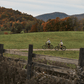 Devinci E - Griffin EP6 9s E Bike - Skiis & Biikes