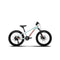 Devinci Ewoc 20 6s Bike - Skiis & Biikes