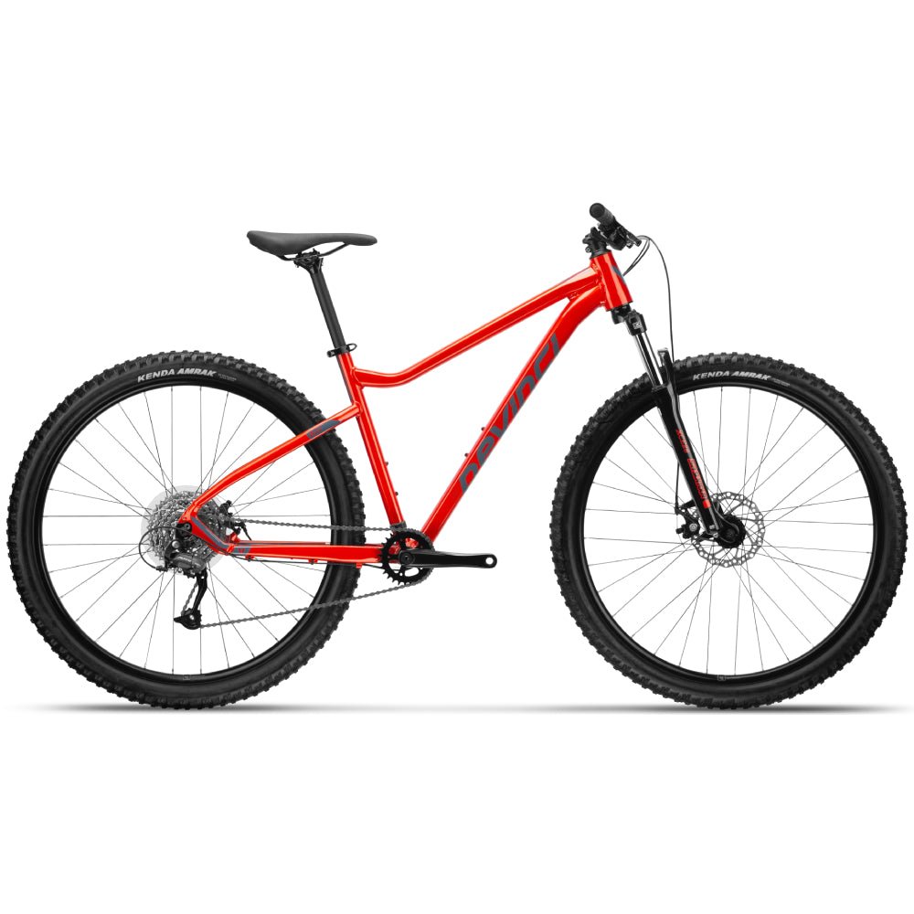 Devinci Riff Altus 8s Bike - Skiis & Biikes