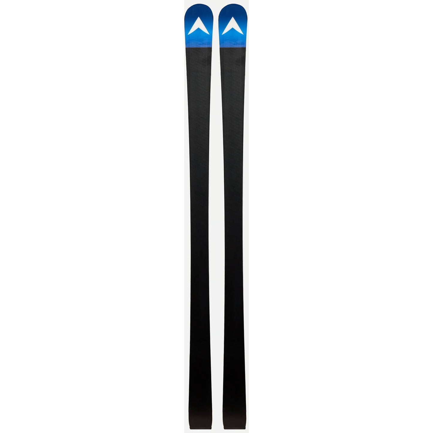 Dynastar Speed Team GS R21 Pro Ski 2026 - Skiis & Biikes