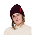 The Mountain Studio Are Adult Beanie