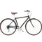 Electra Loft 7D Mens Bike - Skiis & Biikes
