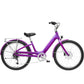 Electra Townie Go Step Thru E Bike - Skiis & Biikes
