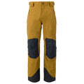 Flylow Chemical Mens Pant 2025 - Skiis & Biikes